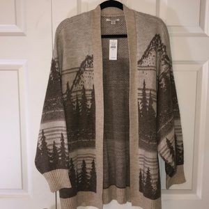 American Eagle sweater